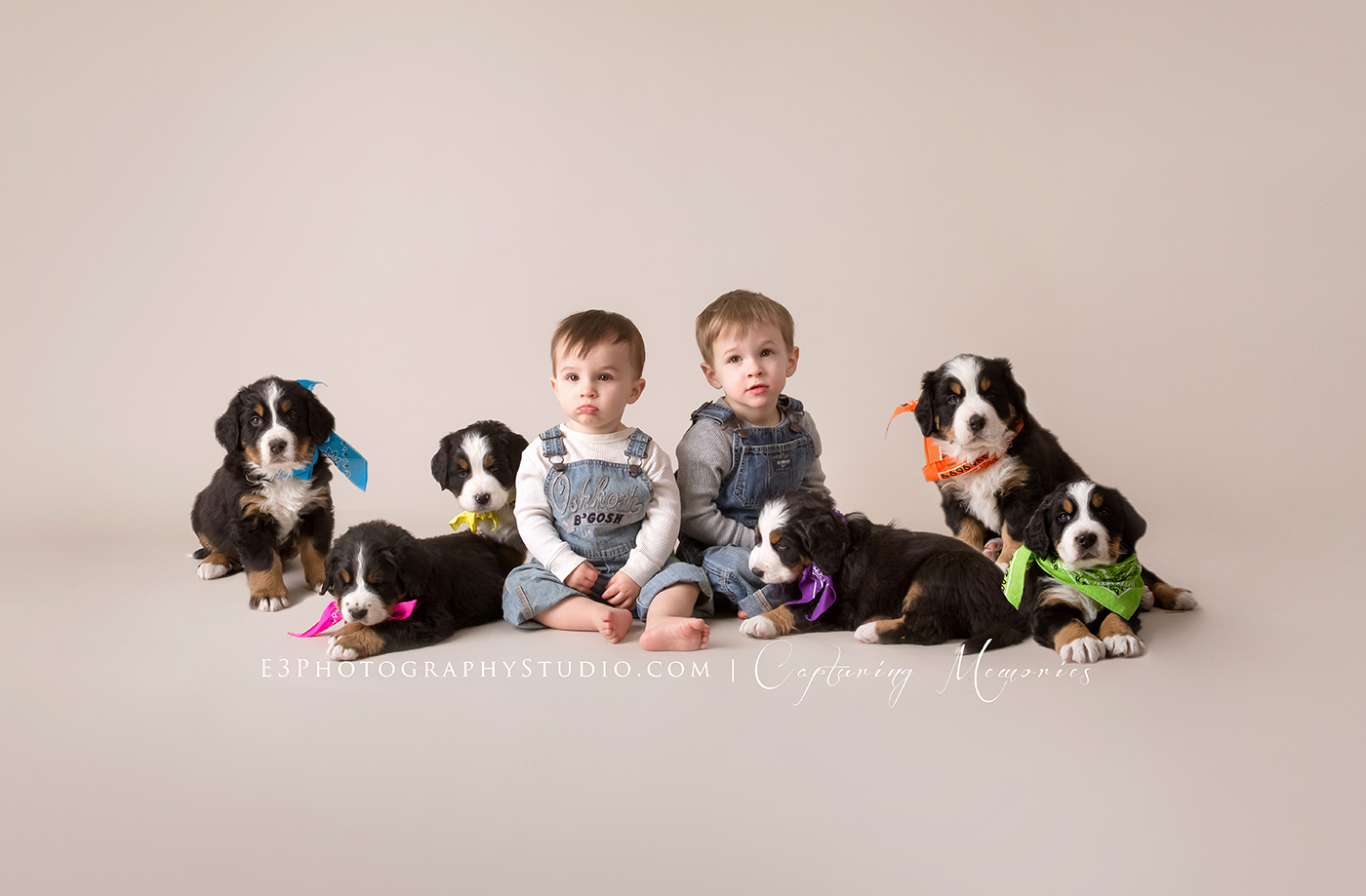 Miller Family Mini | Studio Mini Session with Puppies 
