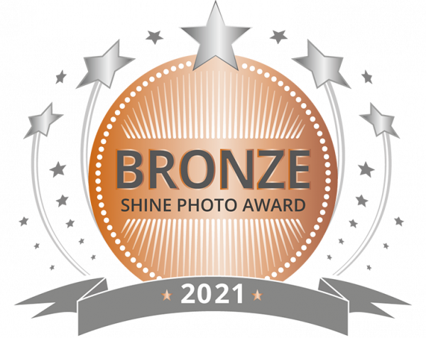 SHINE-Award-BRONZE_2021.png